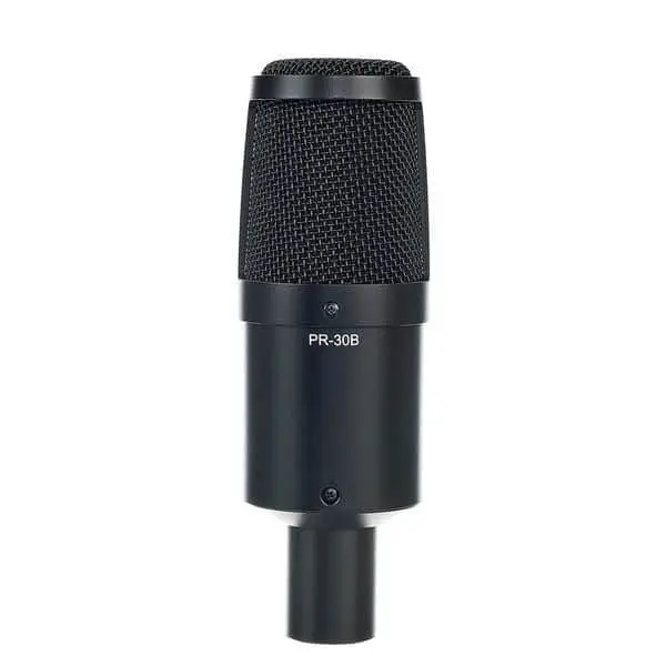 Heil Sound PR30 Black Matte - immagine 2