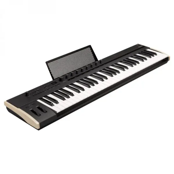 Korg Keystage 61
