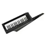 Korg RK-100S 2 Black