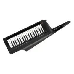 Korg RK-100S 2 Black