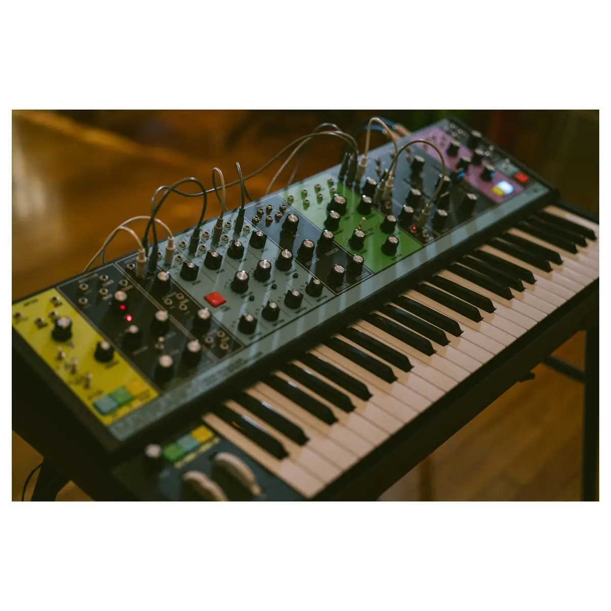 Moog Matriarch