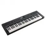Roland GO:KEYS 5 Grafite