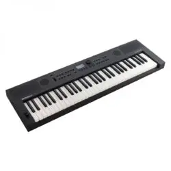 Roland GO:KEYS 5 GT